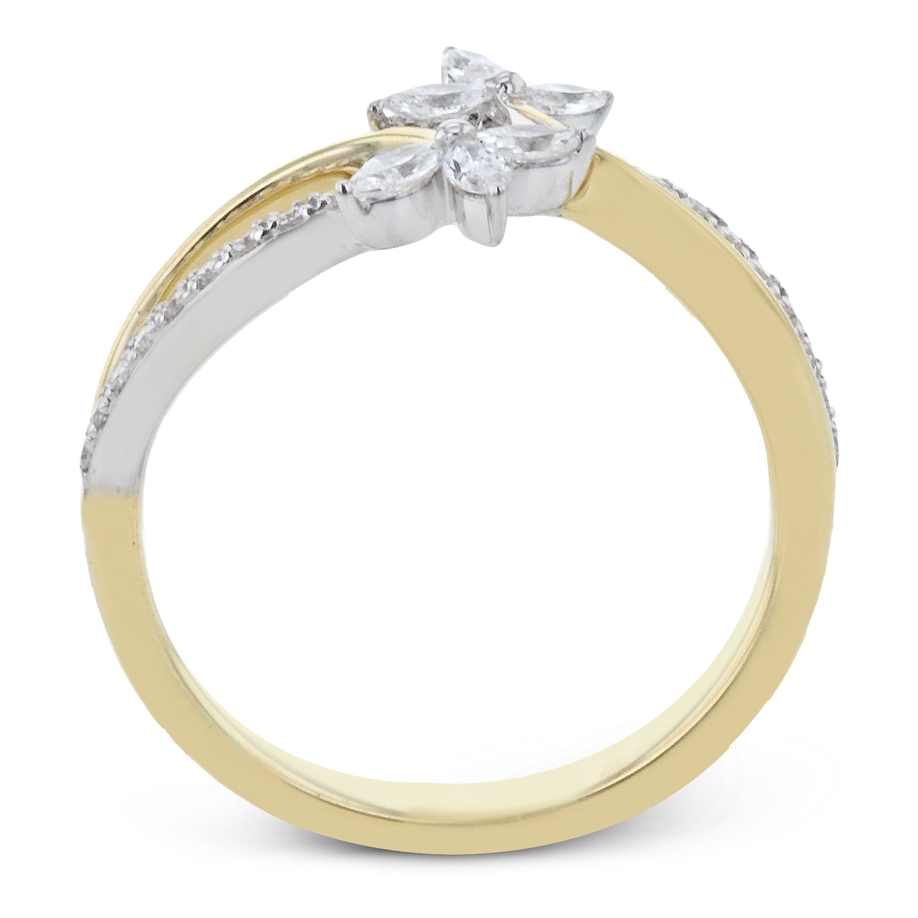 Fashion Ring in 14k Gold with Diamonds