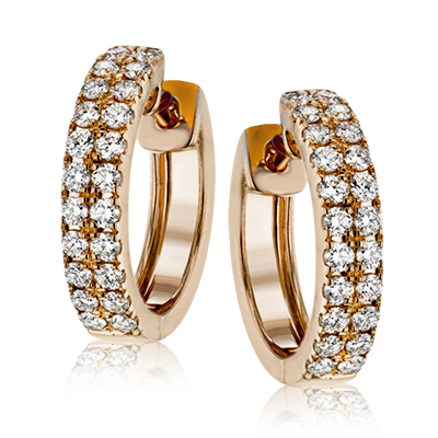 Sg Hoop Earring ER369-R